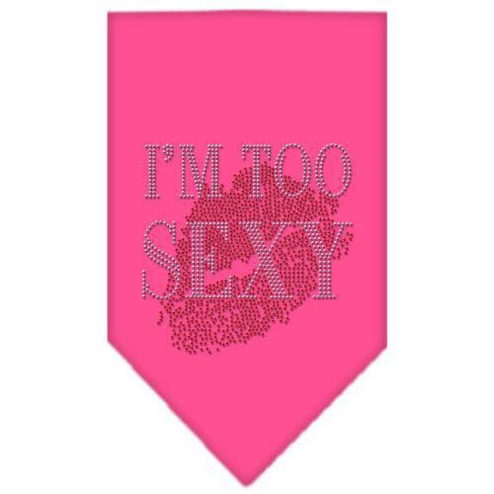 Mirage Pet Products I'm Too Sexy Rhinestone Bandana, Small, Light Pink