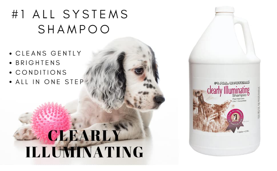 #1 All Systems Clearly Illuminating Shampoo Gallon - Mix Color, Model 1ASA990-KW