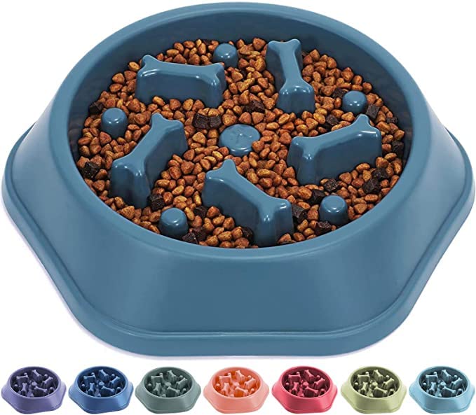 Woofy Slow Feeding Pet Bowl, No Choking Round Feeder Bowl With Bone Pattern Interactive Treat Bowl For Dogs (Blue)