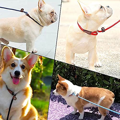 MayPaw Slip Lead Control Leash for Dogs, 7FT x 1/4" Blue Metal Rope, No Pull Design, Ideal for Small Medium Pets