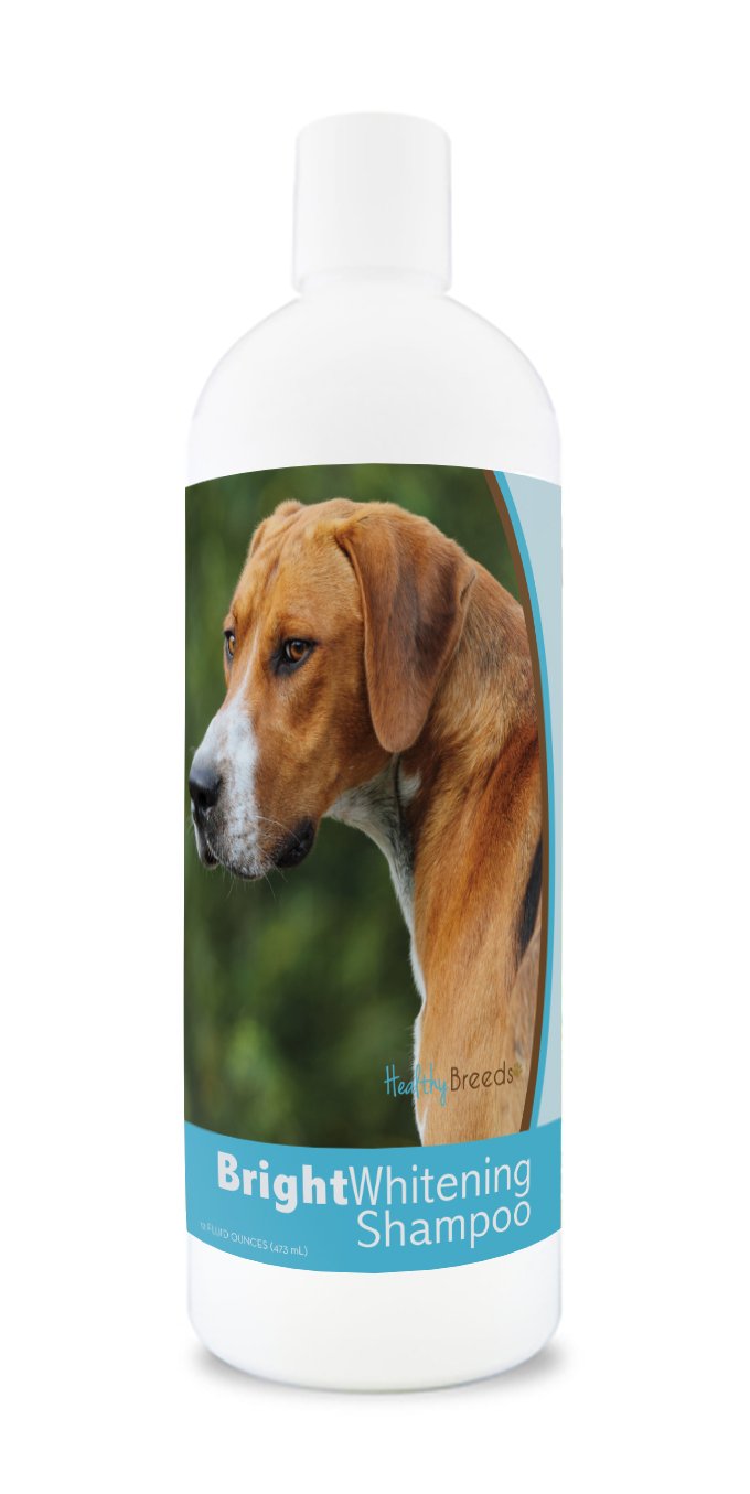 Healthy Breeds English Foxhound Bright Whitening Shampoo 12 oz
