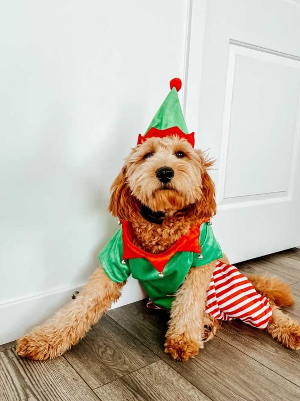 Midlee Dog Elf Costume (Small)