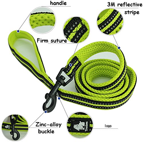 Creation Core Reflective Dog Leash Durable Padded Pet Leash Strap For Puppy Pet Leash Rope, Orange 6.5Ft Long 1' Wide