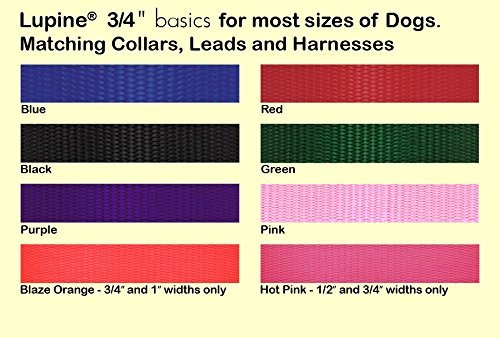 LupinePet Basics 3/4 Red 20-30 Step In Harness for Medium Dogs