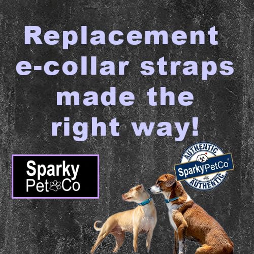 Dogtra Strap Black 3/4' X 28'