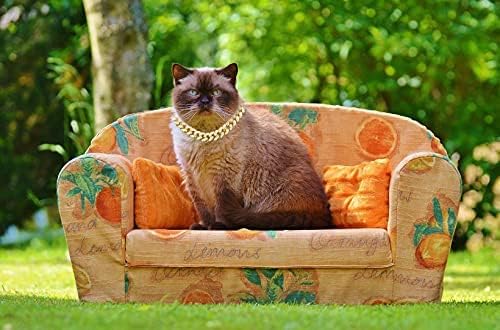 Halukakah Cat Collar - Carat - Iced Out Diamond Cuban Link Gold Chain for Cats & Kittens - 18k Real Gold Plated 7 Collar Size -