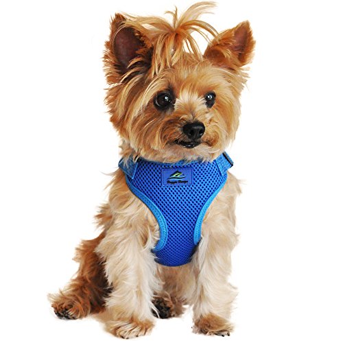 Doggie Design Dog Harness - No Choke Dog Harness, Dog Vest, Mesh Polyester, Pet Harness, Simple Step In And Go Design, Harness For Dog - Cobalt Blue, L