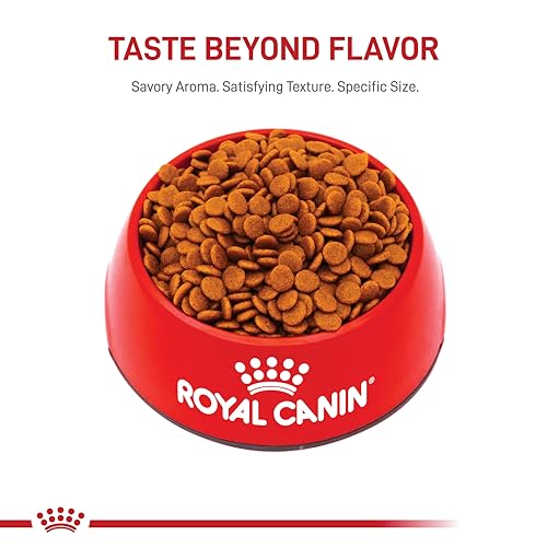 Royal Canin Size Health Nutrition Medium Breed Dry Puppy Food, Supports Brain Development, Immune Support and Digestive Health,