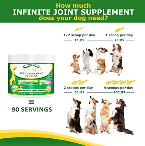 Hip & Joint Supplement Powder