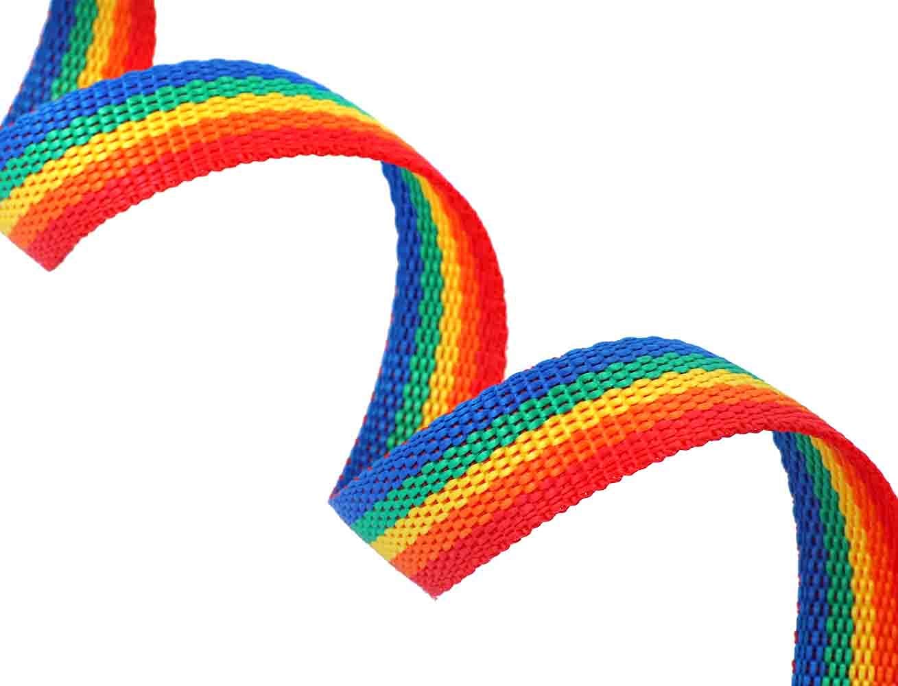 Amagood 6 Ft Puppy/Dog Leash, Strong And Durable Traditional Style Leash With Easy To Use Collar Hook,Dog Lead Great For Small And Medium And Large Dog (3/4 In X 6 Ft(Pack Of 1), Rainbow)