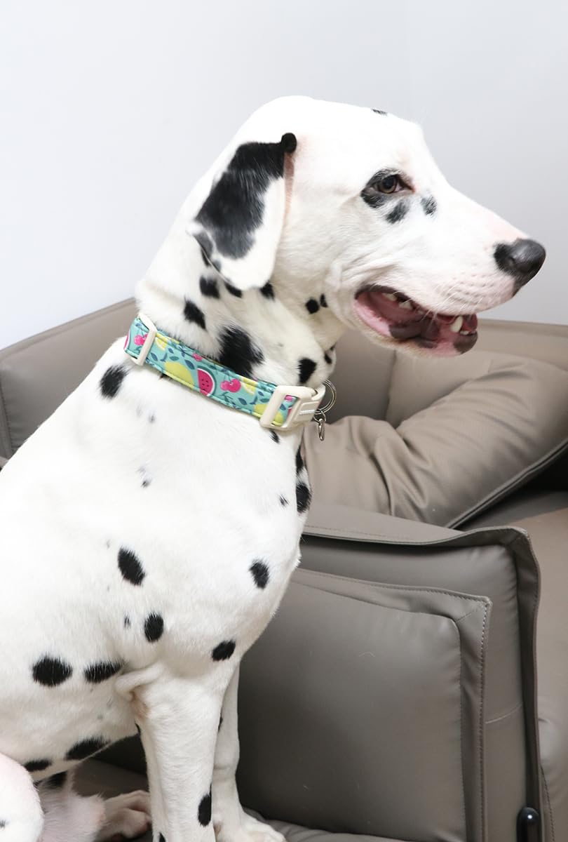 Dogwong Cotton Dog Collar, Spring Summer Dog Collar Durable Soft Natural Fabric Pet Dog Collar Cute Wedding Puppy Necklace For S