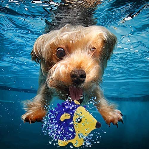 Psk Toys For Dogs 100% Durable Squeaky Toy Soft Latex Dog Toy Floating Ball For Interactive Fetch & Play