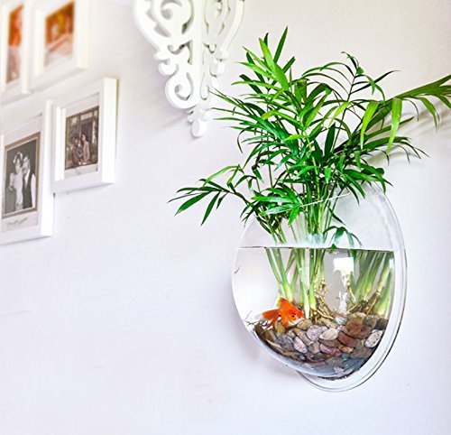 Prugna Wall-Hanging Fish Bowl Acrylic Wall-Mounted Plant Pot 1 Gallon Fish Tank 11.5-Inches Decoration Planter