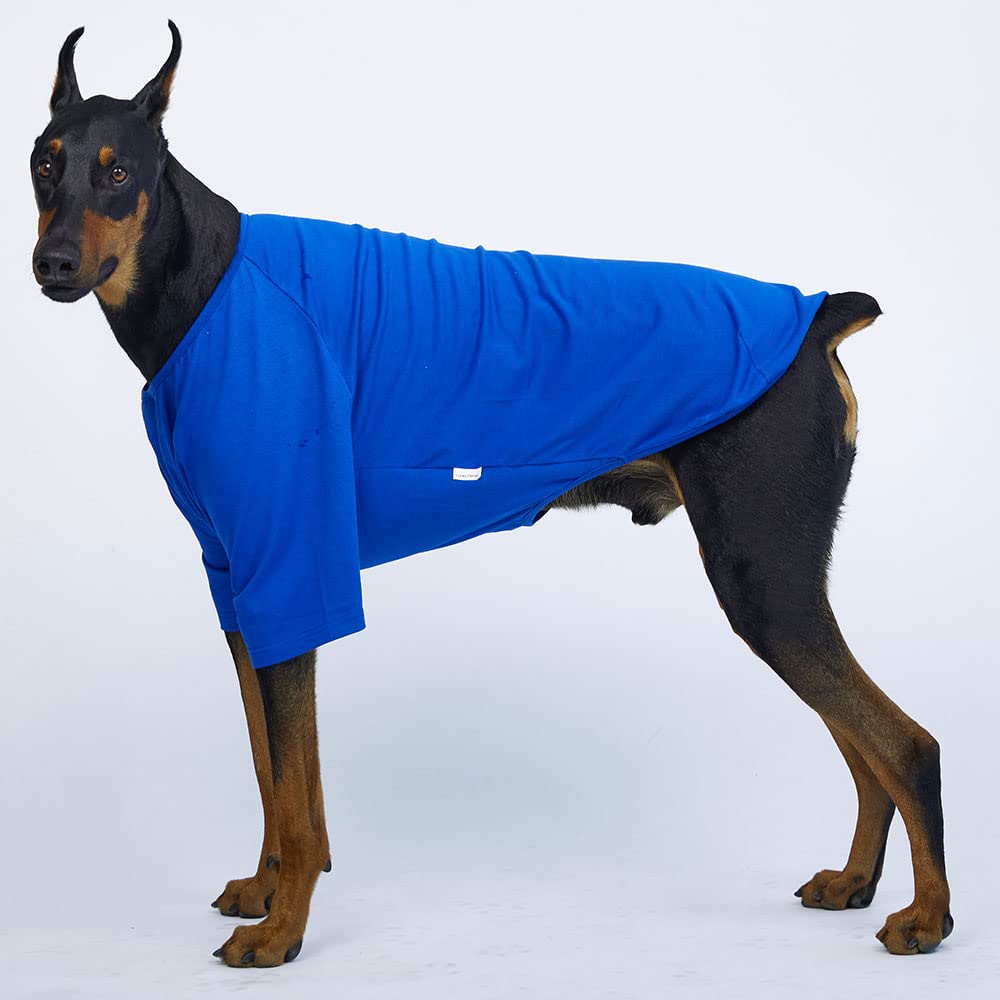 Lucky Petter Dog Shirt For Small Dogs Plain T-Shirts Soft Breathable Dog Cotton Shirt Pet Clothes (2X-Large, Blue)