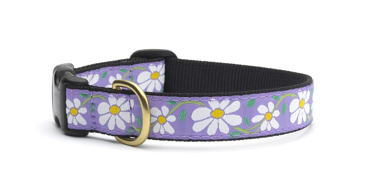 Up Country Daisy Pattern (Daisy Dog Collar, Xx-Large (21 To 27 Inches) 1 Inch Wide Width)