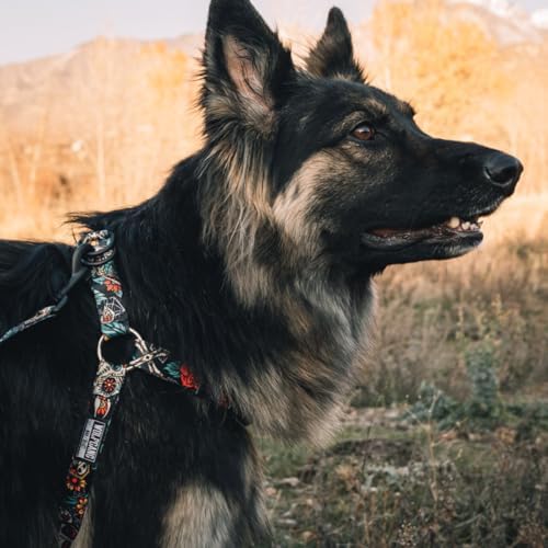 Wolfgang Heavy Duty Adjustable Dog Harness, Pull-Tested to Over 800 lbs for Walking & Training, LosMuertos Print, Medium