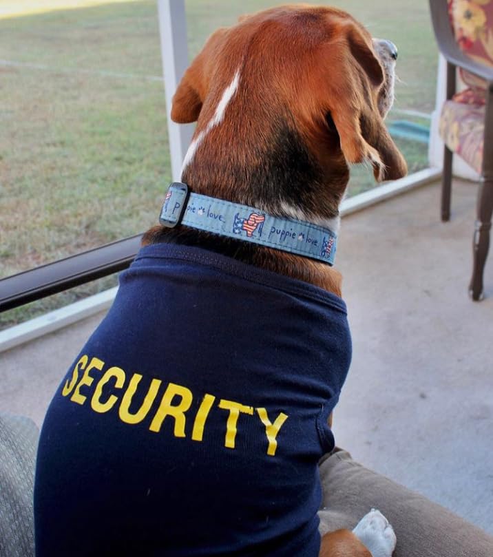 Funny Dog Shirt For Pets - Security Costume Tee With Bold Yellow Print - Lightweight Cotton Blend For Small And Large Dogs - Sar