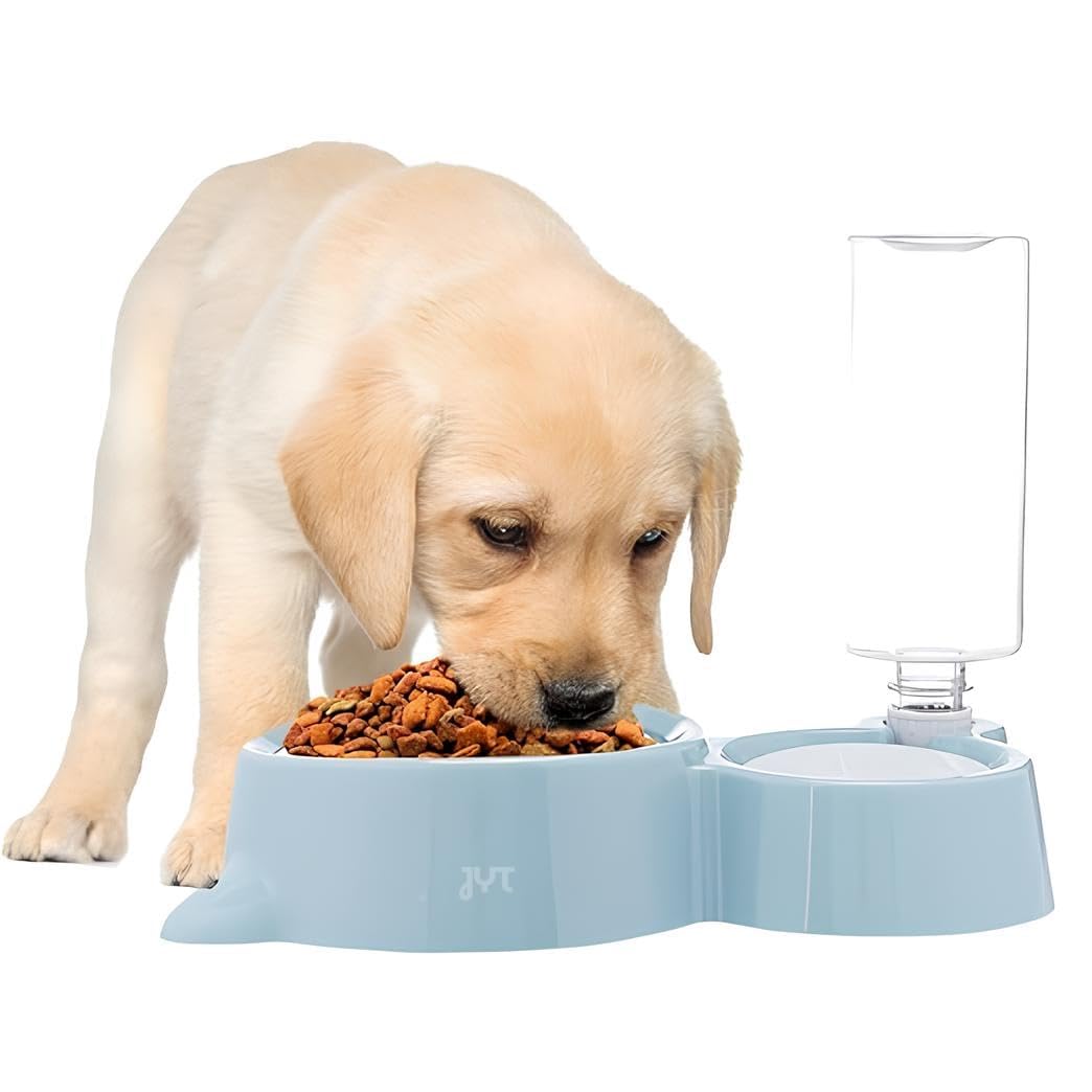 Jyt Pet Feeding Bowl With Automatic Water Dispenser For Dogs & Cats | Stainless Steel Dual Food Bowl With Gravity Water Bottle |