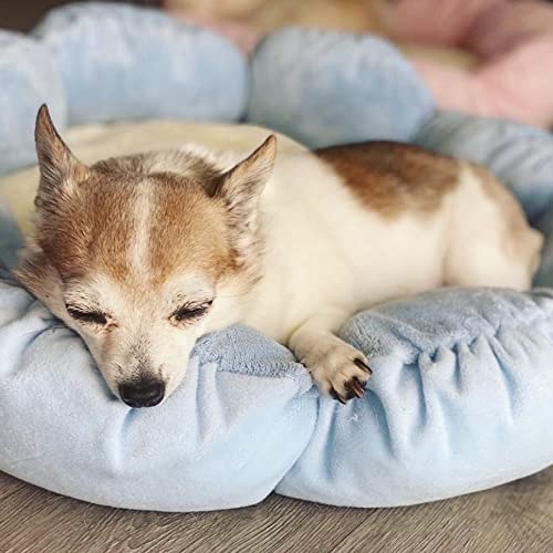 Tonbo Soft Plush Small Cute And Cozy Nature Dog Cat Bed, Washer And Dryer Friendly (Blue Flower)