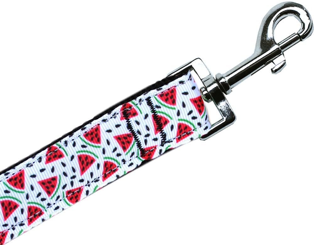 Pet Dog & Cat Nylon Collar or Leash, "Watermelon" 1" w x 4 ft. leash