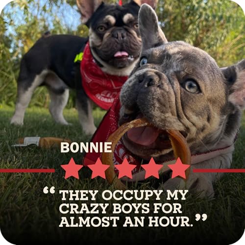 Redbarn Pet Products All-Natural 12 Braided Bully Sticks for Dogs - Premium Grain-Free & Rawhide-Free Single Ingredient Long Las