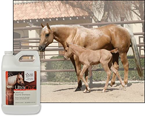 Ultracruz Equine Horse Shampoo, 1 Gallon