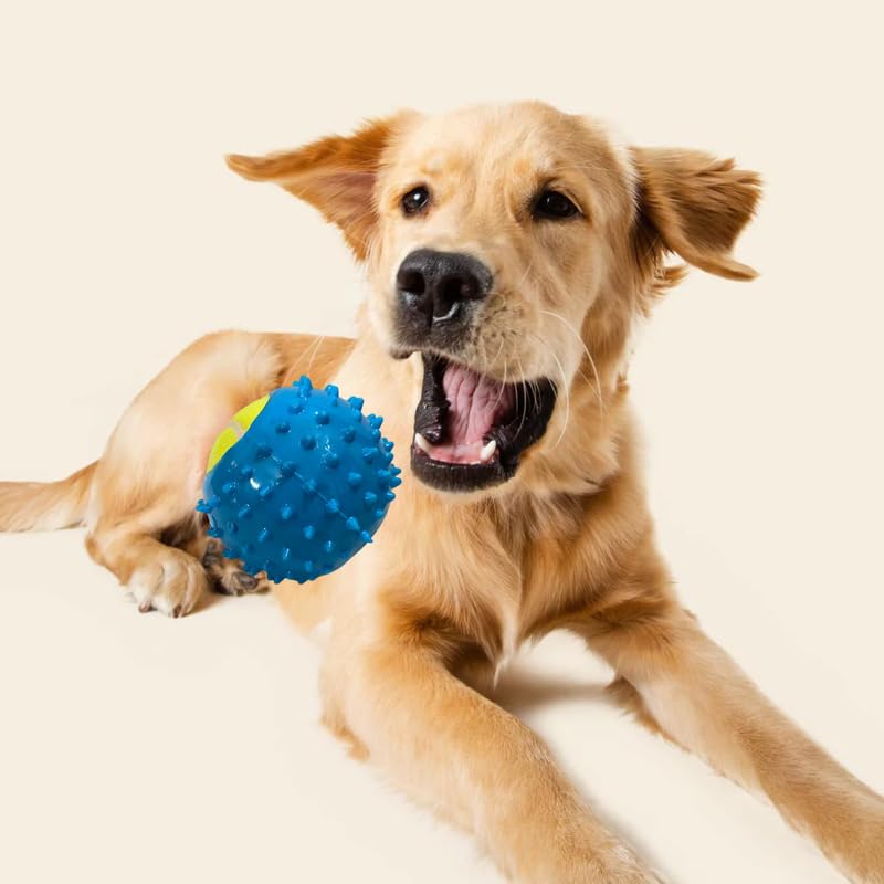 Bohobark Spikey Dog Toys For Aggressive Chewers, Heavy Duty Puppy Teething Chew Toys For Healthier Gums And Dental, Bright Color