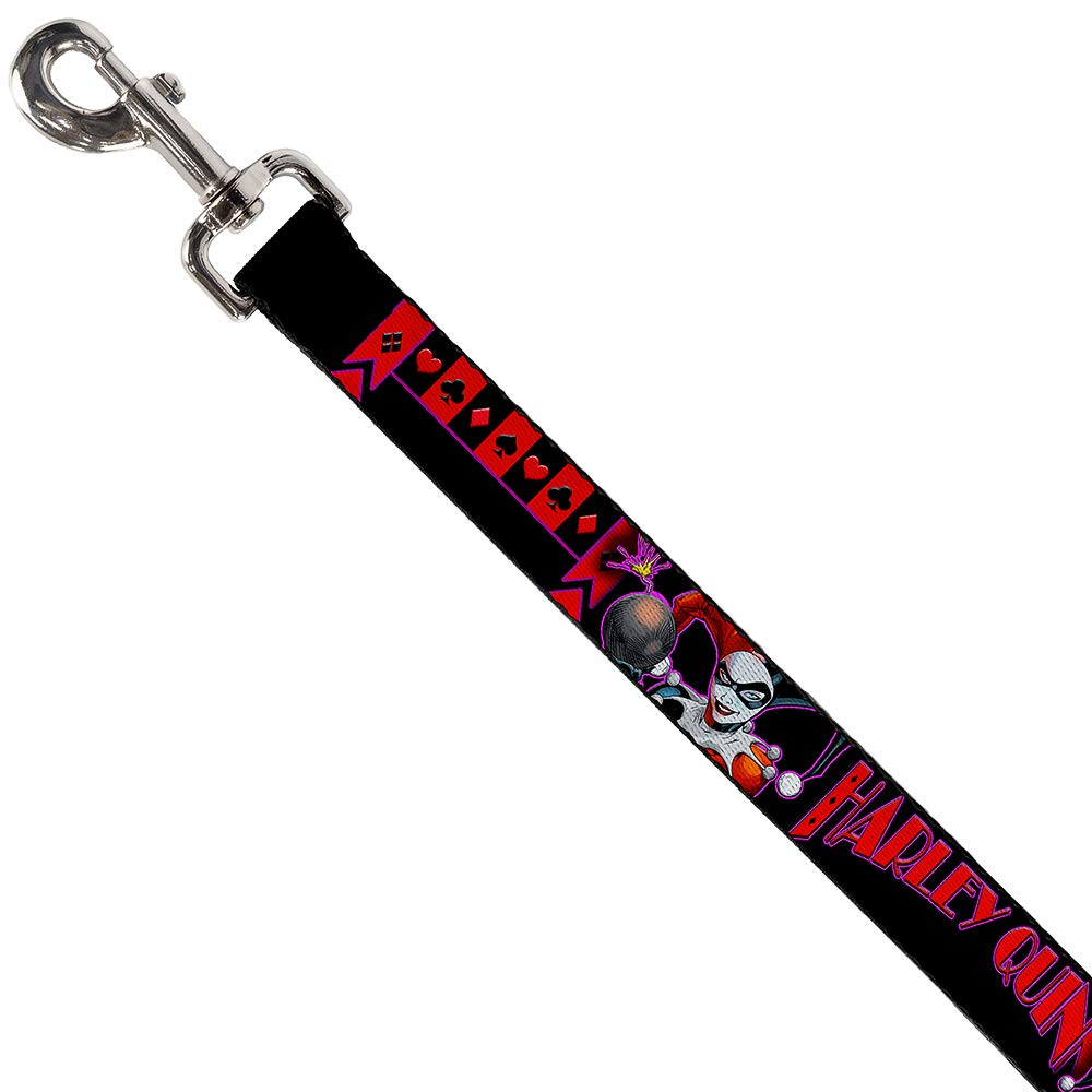 Buckle-Down Dog Collar Seatbelt Buckle, Multicolor, 6 Feet Long - 1.5'' Wide (Dl-6Ft-Wjk012-W)
