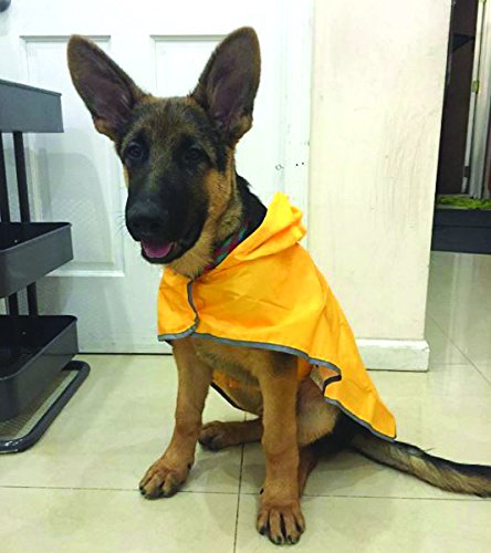 Rc Pet Products Packable Dog Rain Poncho Sunshine - X Large