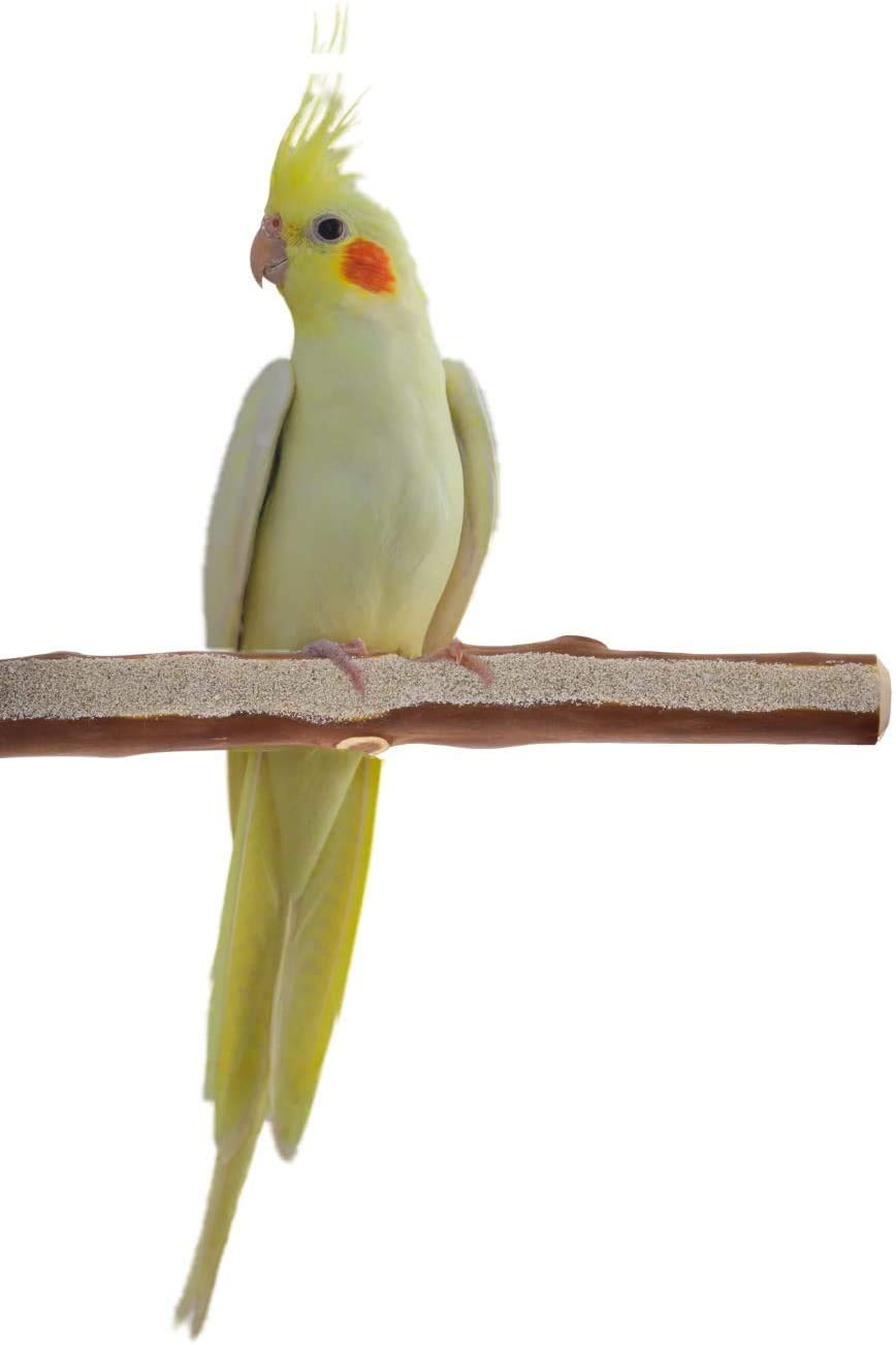 Sweet Feet And Beak Superoost Manzanita Pumice Pedicure Perch- Easy To Install Bird Cage Accessories For Healthy Feet, Nails And Beak - Natural Bird Perches Imitates Birds' Life In The Wild - Xs 8'