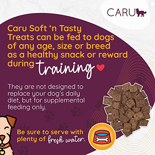 CARU - Soft n Tasty Baked Bites - Duck Bites Dog Treats - Flavorful Training Treats - 4 oz
