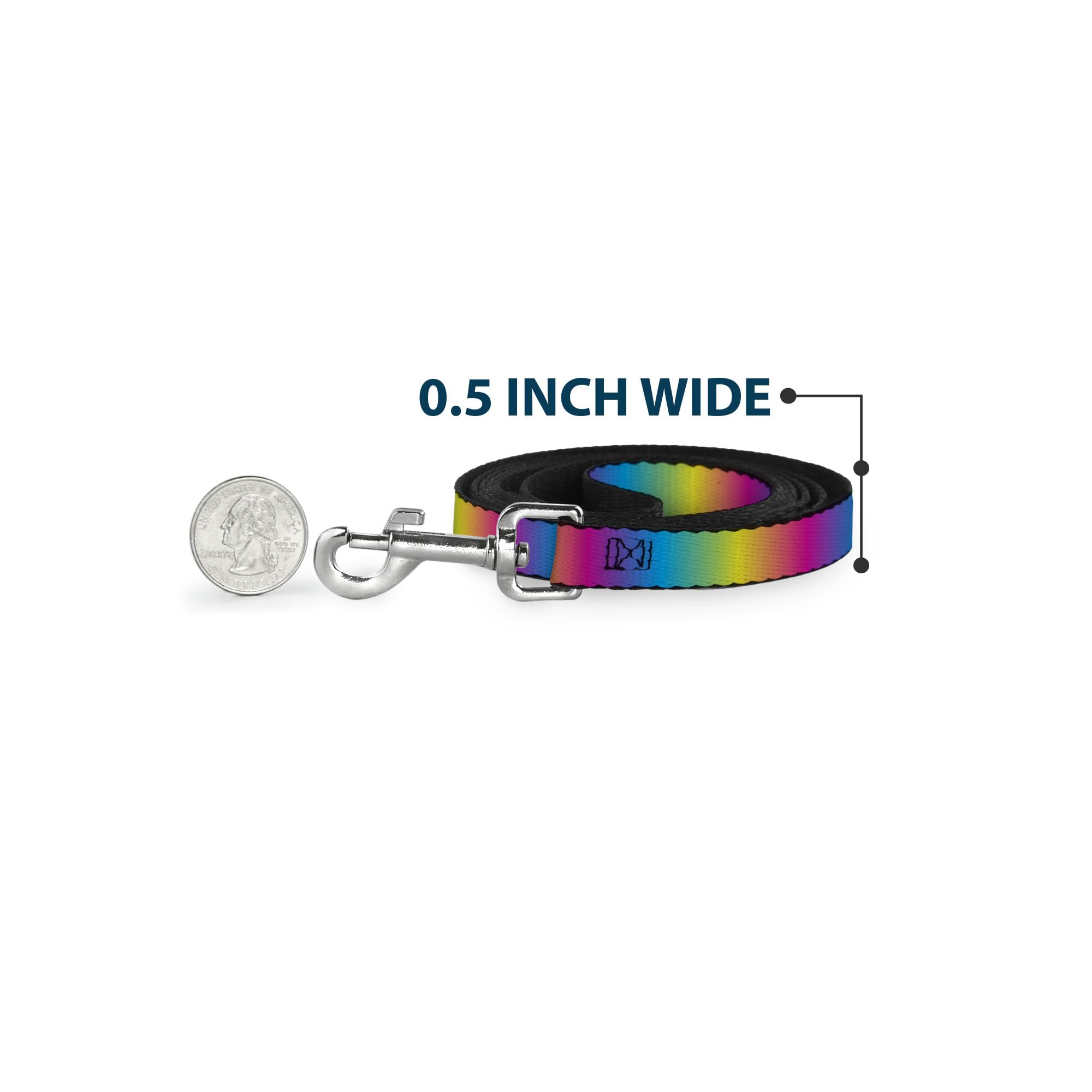 Buckle-Down Pet Leash - Rainbow Ombre - 6 Feet Long - 1 Wide