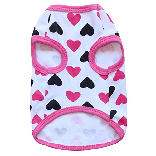 Droolingdog Girl Puppy Clothes Tee Shirt For Small Dogs & Cats, Designer Dog & Cat Shirts For Girls & Chihuahua