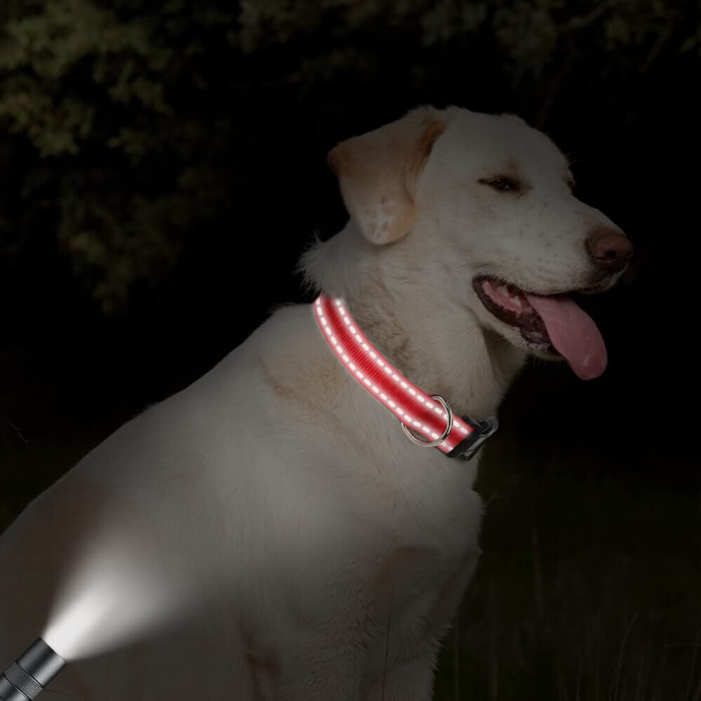 Taglory Reflective Adjustable Dog Collars For Puppy Small Medium Large Dogs, Thin Nylon Webbing And Quick Release Plastic Buckle(Red,Large)