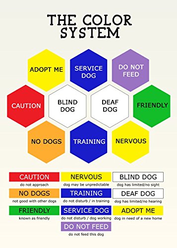 Dexil Training (In Training/Do Not Disturb) Blue Warning Dog Colour Coded Padded 1.8M 6Ft Lead Leash