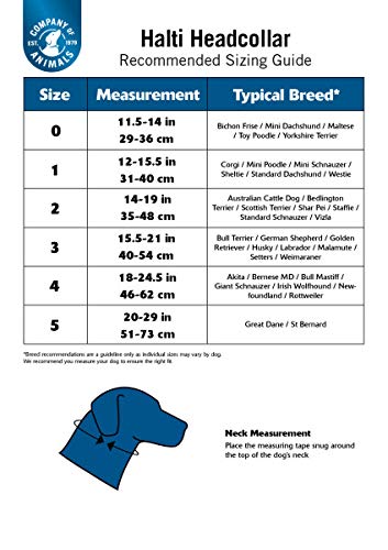 HALTI Headcollar Size 5, Black & HALTI Training Leash Size Large, Black Combination Pack - Stop Your Dog Pulling on the Leash. A