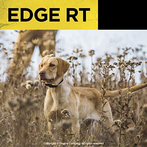 Dogtra Edge RT Black Additional Receiver Long Range High-Output 1-Mile Waterproof 3-Dog Expandable Remote Dog Training E-Collar