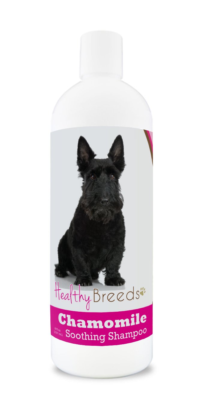 Healthy Breeds Chamomile Dog Shampoo & Conditioner with Oatmeal & Aloe for Scottish Terrier - OVER 200 BREEDS - 8 oz - Gentle fo
