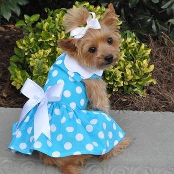 Blue Polka Dot Dog Dress With Matching Leash