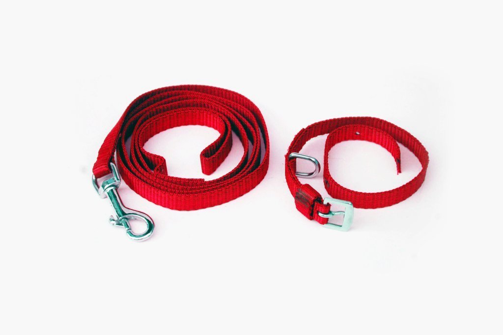 Munchos Dog Nylon Leash And Collar Set For Small Dogs (0.75Inch)