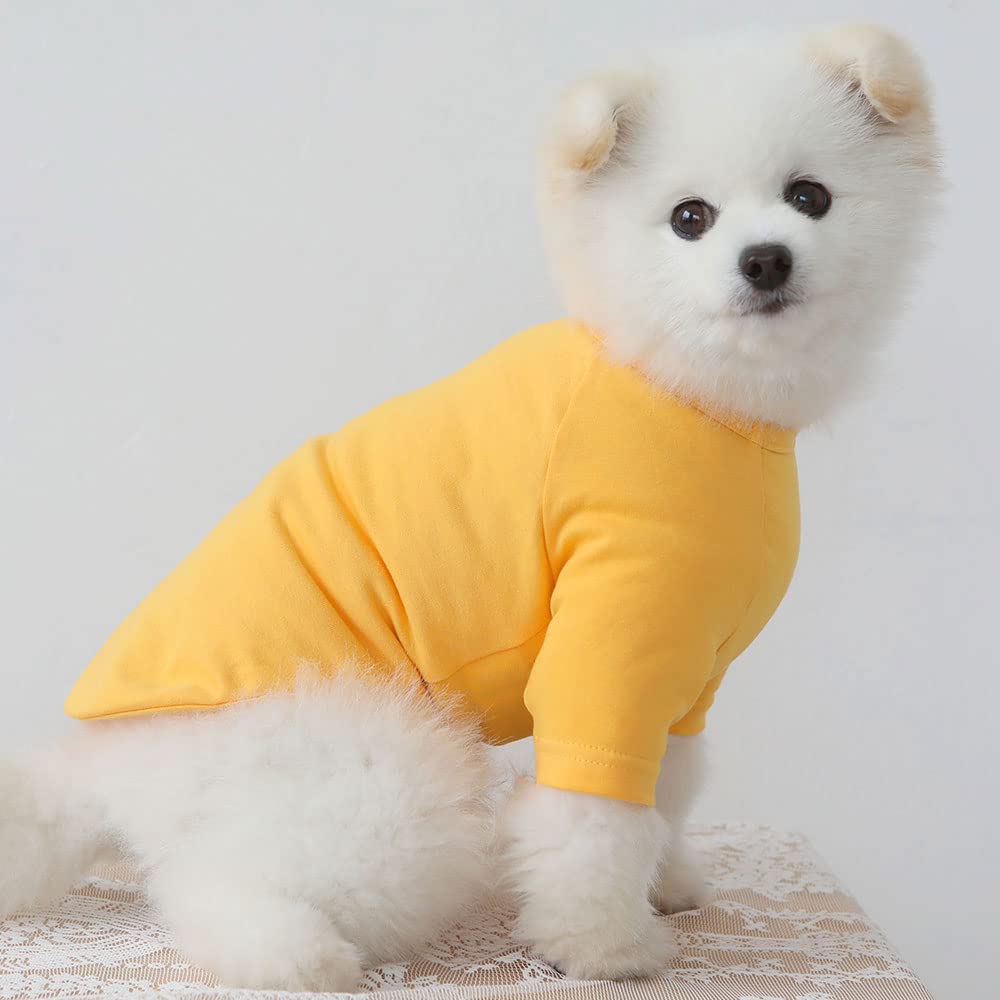 Lucky Petter Dog Shirt For Small Dogs Plain T-Shirts Soft Breathable Dog Cotton Shirt Pet Clothes (X-Small, Yellow)