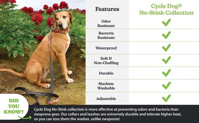 Cycle Dog Rcm-Asb-M Dog, Medium Collar, Atomic Starburst