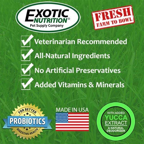 Berries & Bugs (10 lb.) - All Natural High Protein High Fiber Insectivore Diet with Fruit, Gut-Loaded Insects, & Healthy Vitamin