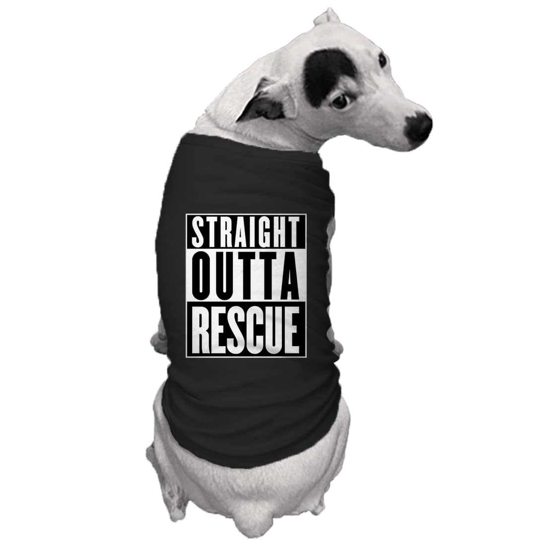 Straight Outta Rescue - Shelter Dog Shirt (Black, Large)