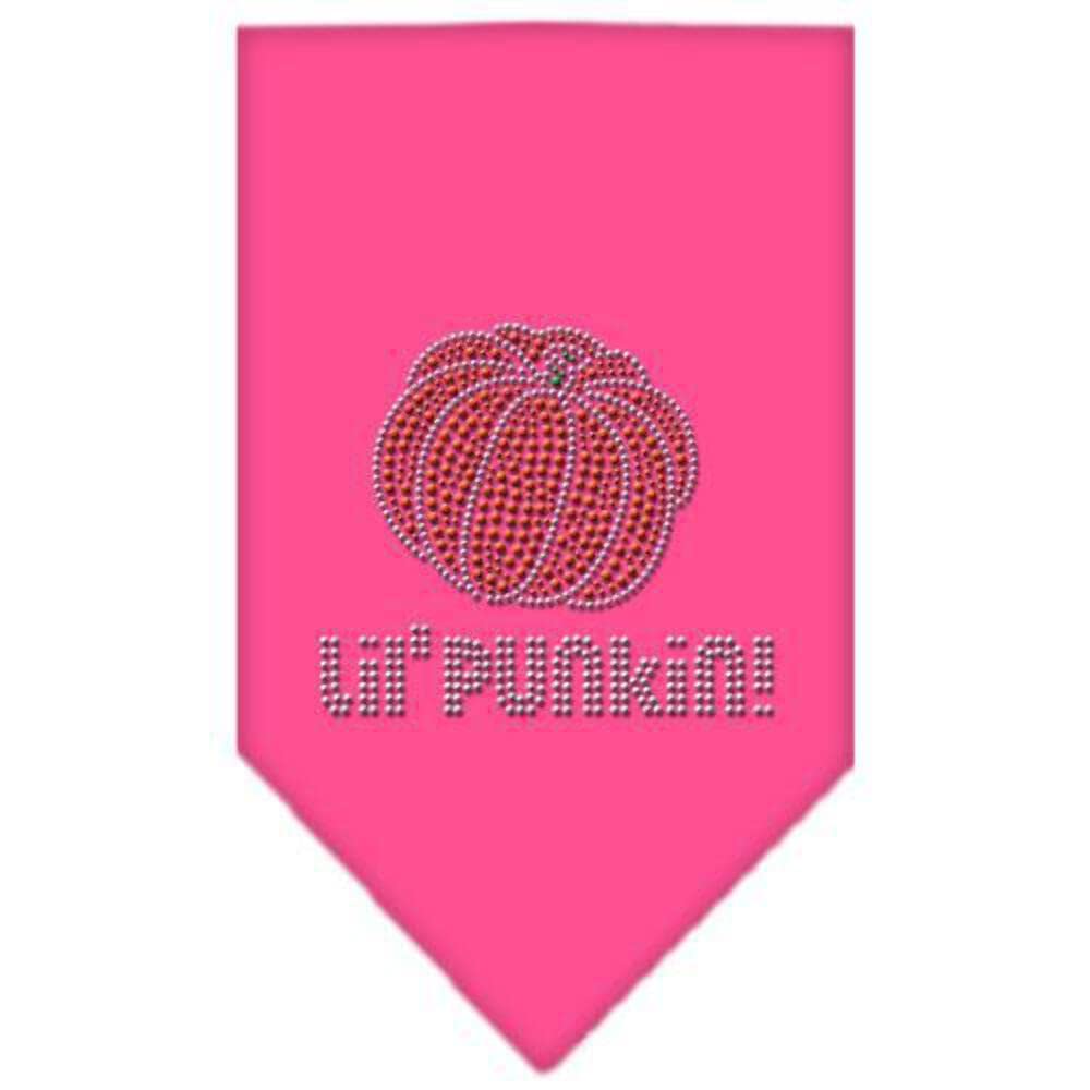 Halloween Pet and Dog Bandana Rhinestone, Lil Punkin Purple Large