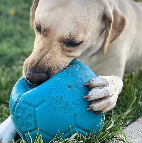 Jolly Pets Large Soccer Ball Floating-Bouncing Dog Toy, 8 Inch Diameter, Ocean Blue