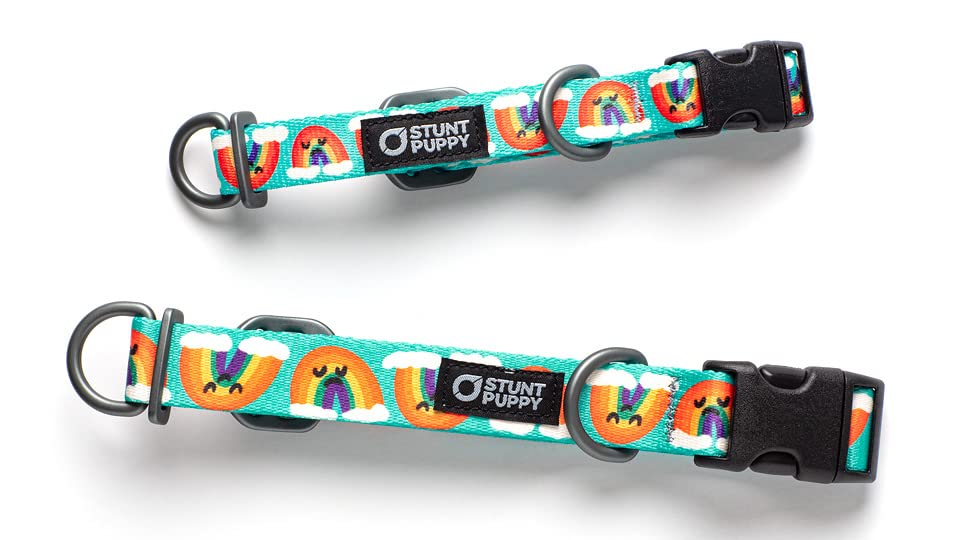 Stunt Puppy, Jill Kittock Artist Series Everyday Collar, Rainbows, Regular