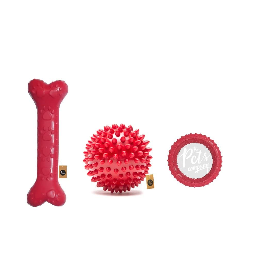 The Pets Company Rubber Dog Chew Toy Combo (Dog Bone 6 + Dog Spike Ball 3+ Ring Dog Toy 4.5) | Teething Toys For Puppies & Sm