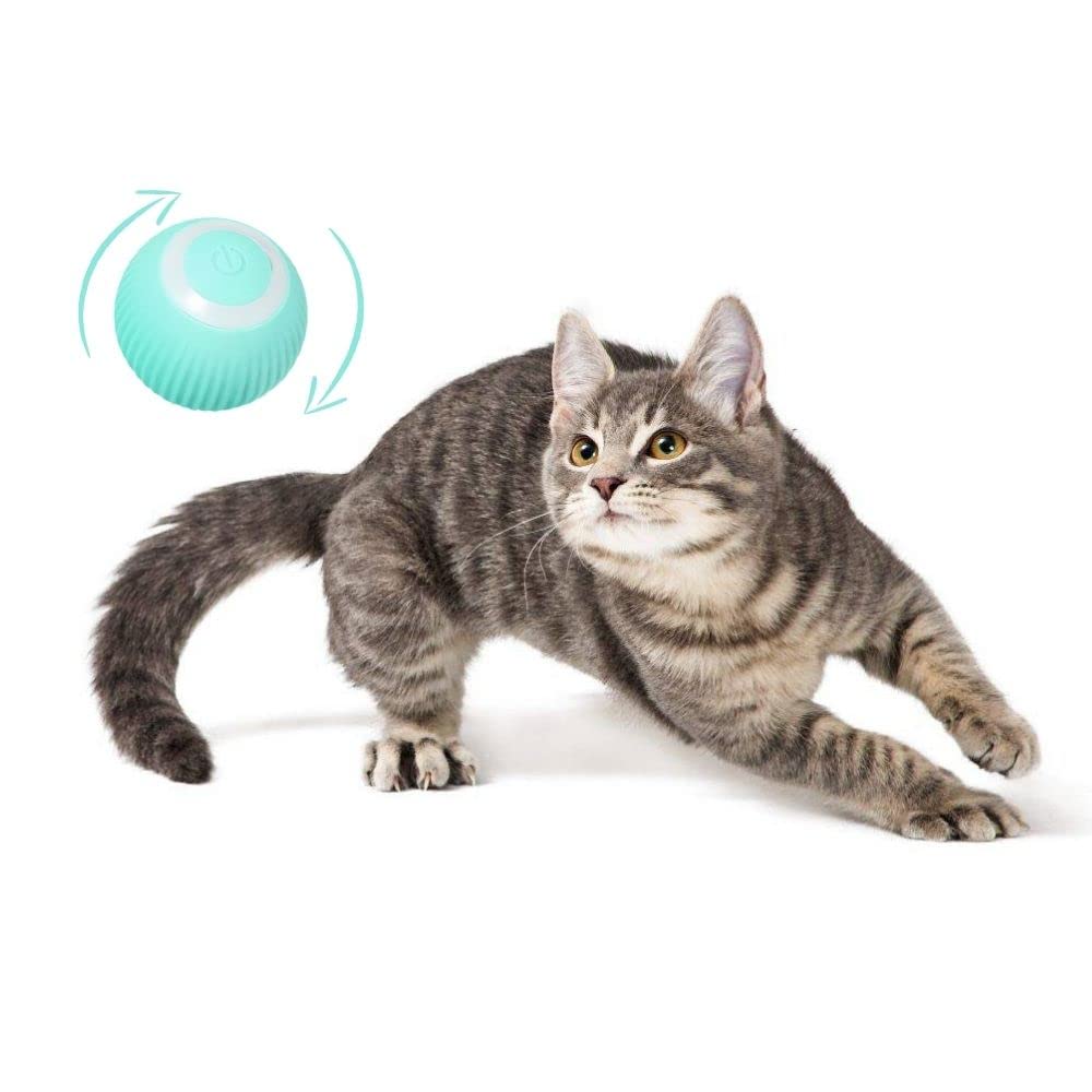 Petgravity Rechargeable Led Cat Toy Ball  360 Rotating Interactive Play  Smart Charging & Led Lights For Endless Feline Fun  