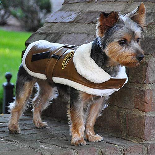 Faux Leather Brown Bomber Dog Coat - White Trim - X-Small